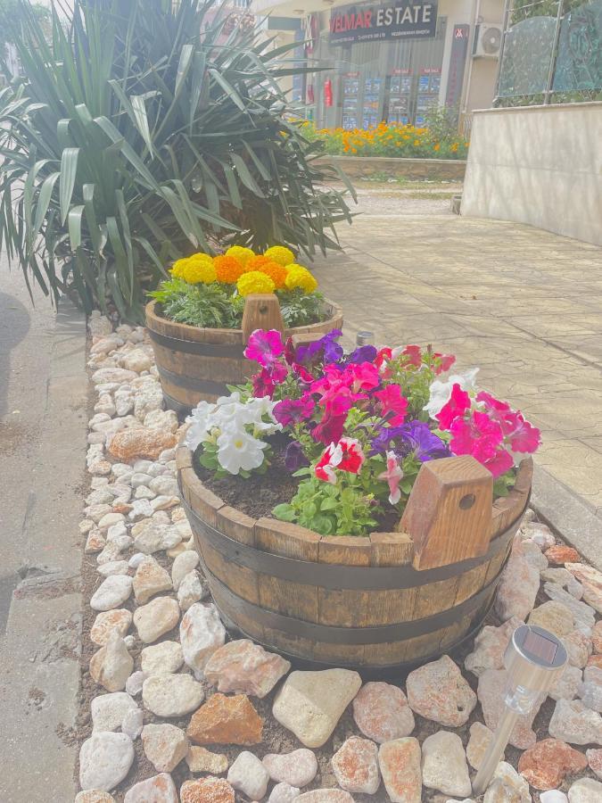 Family Hotel Morska Zvezda Balchik Luaran gambar